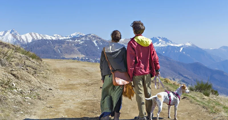 Choisir la bonne destination : entre désir et réalité logistique