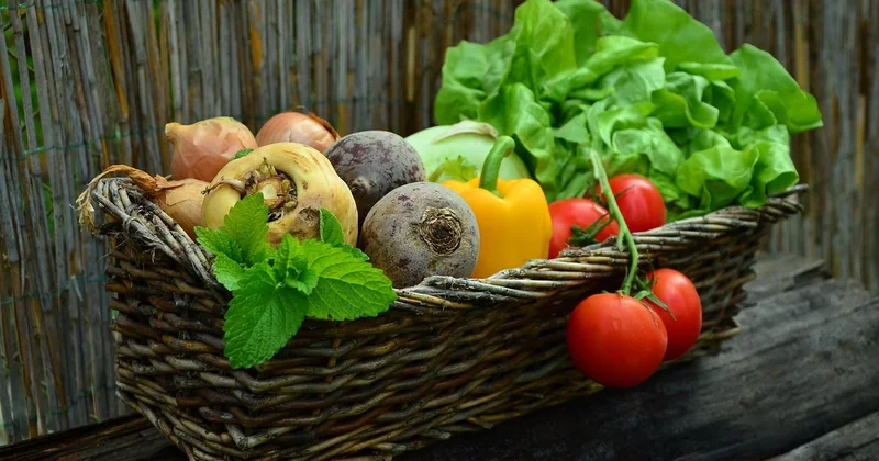 Les options végétariennes, véganes et sans gluten à Rome