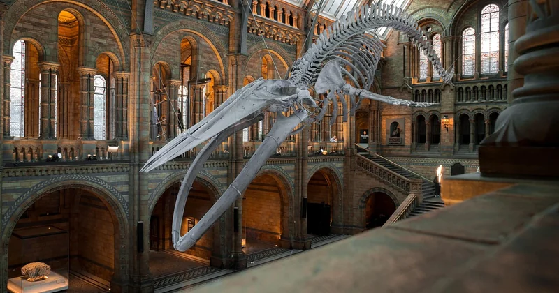 Les musées moins connus qui valent le détour